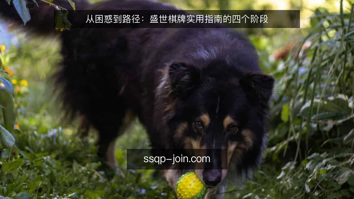 从困惑到路径：盛世棋牌实用指南的四个阶段