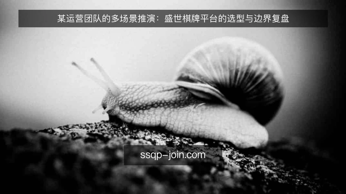 某运营团队的多场景推演：盛世棋牌平台的选型与边界复盘