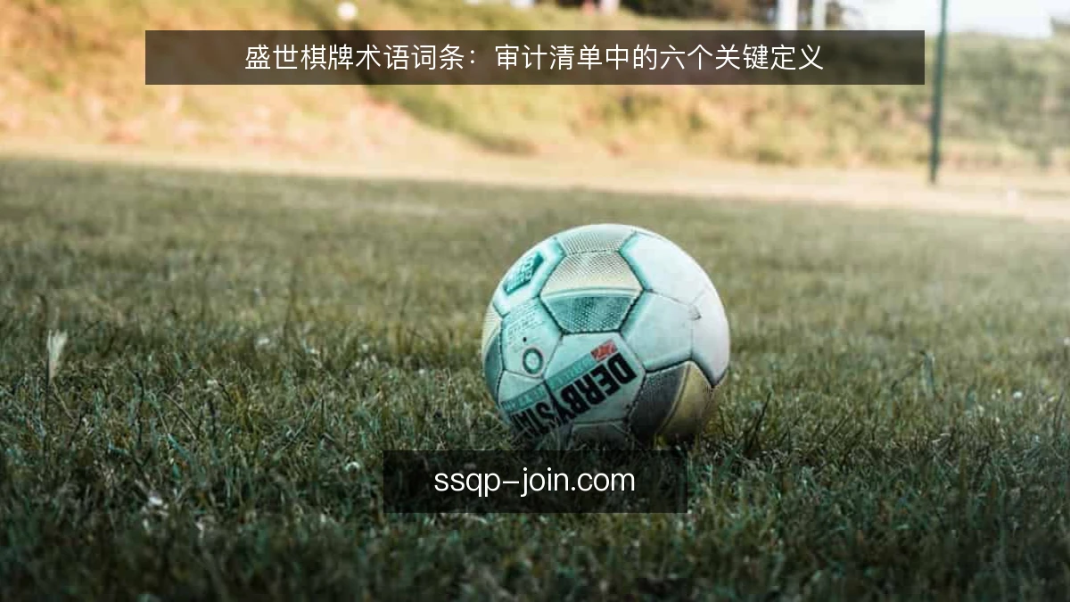 盛世棋牌术语词条:审计清单中的六个关键定义